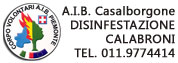 vai a AIB - Disinfestazione Calabroni