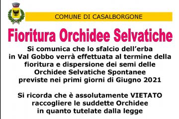 Avvisi Novita Comune Di Casalborgone