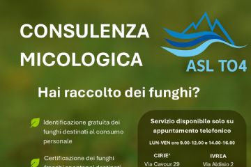 Consulenza Micologica Autunno 2025